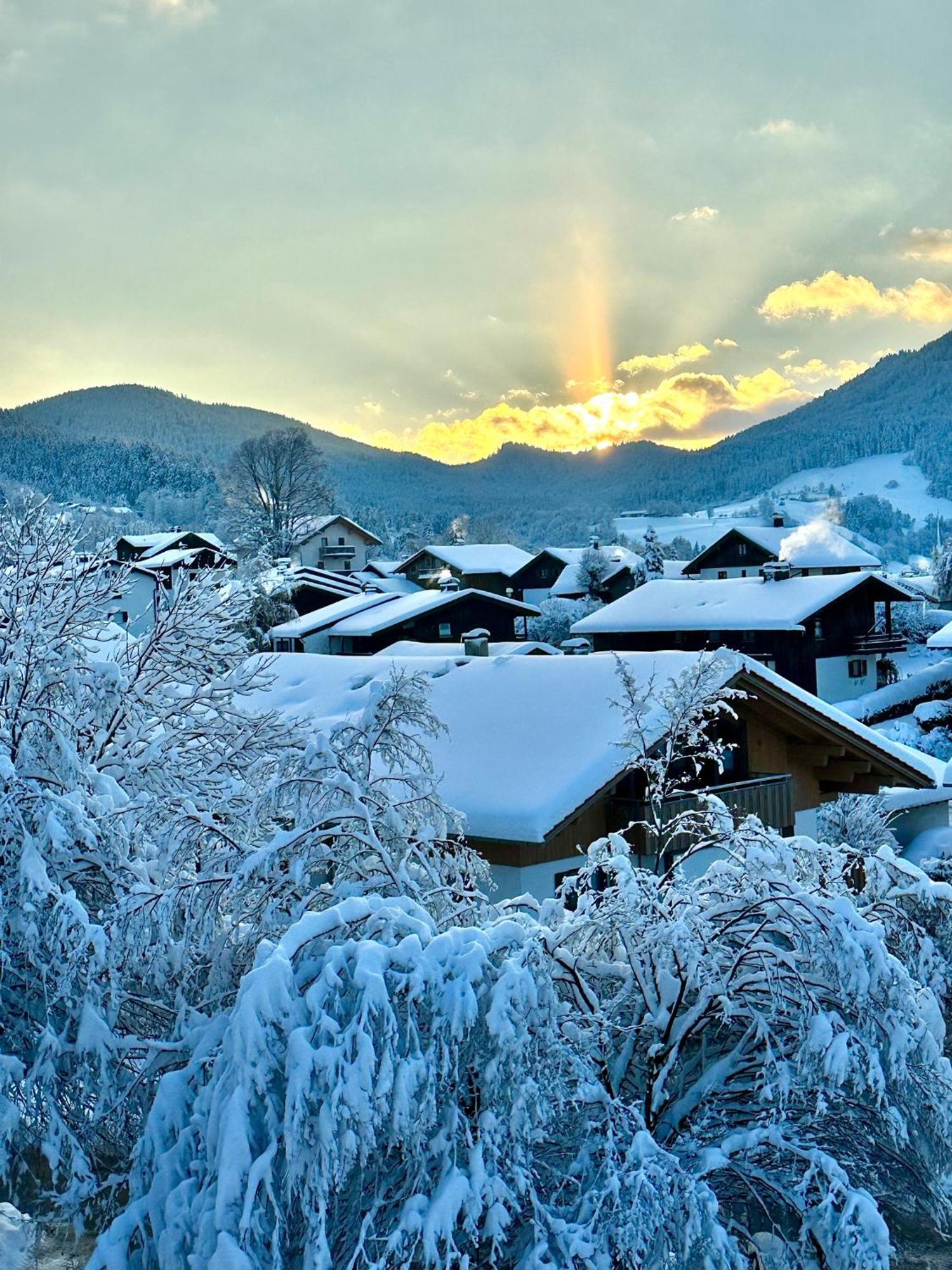 Alpenoase Schliersee - Grosse Suite Mit Sauna Oder Gemuetliche Studio Appartements Exterior foto